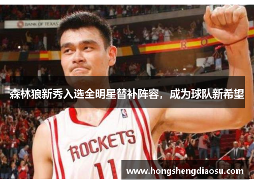 森林狼新秀入选全明星替补阵容，成为球队新希望